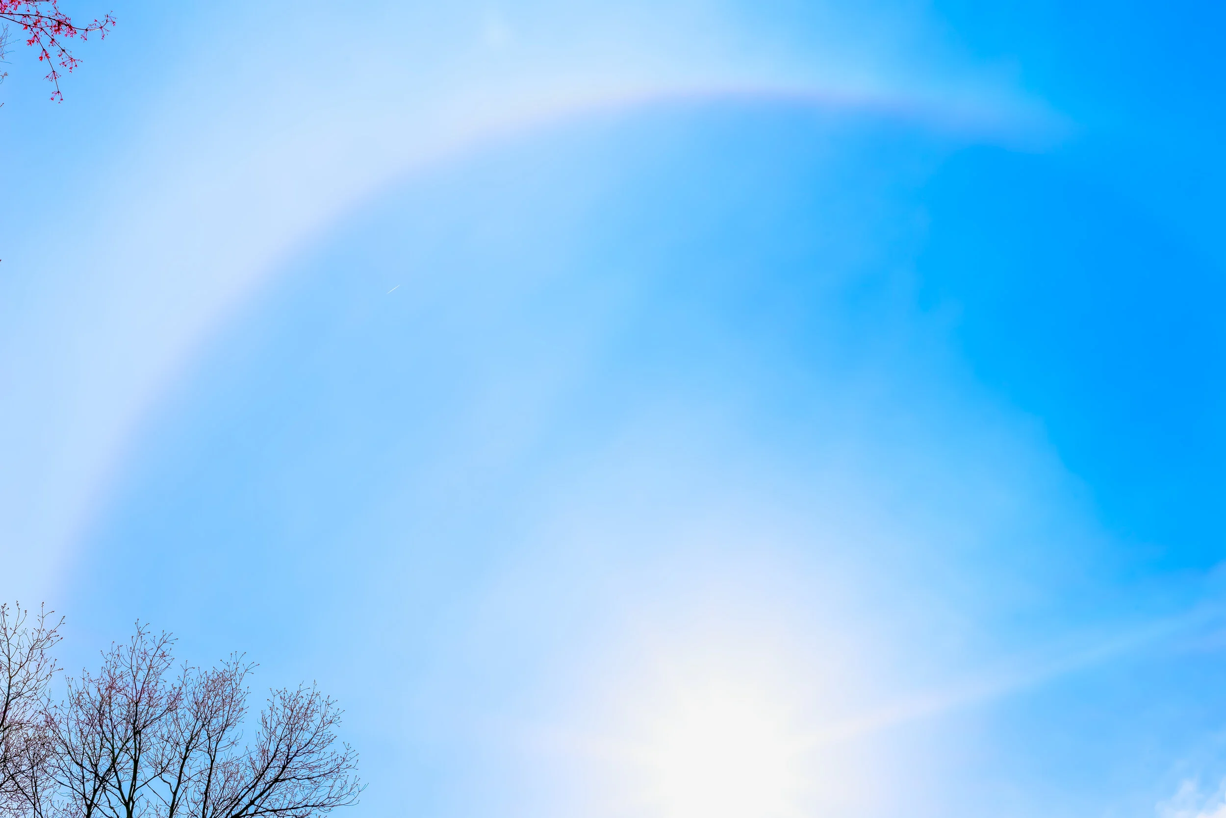 sunhalo_20-04-20_022.jpg
