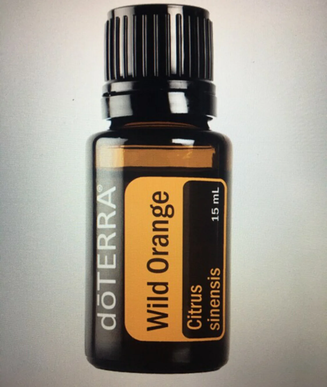 B28B0850-27BC-4A9B-8323-520246462C71