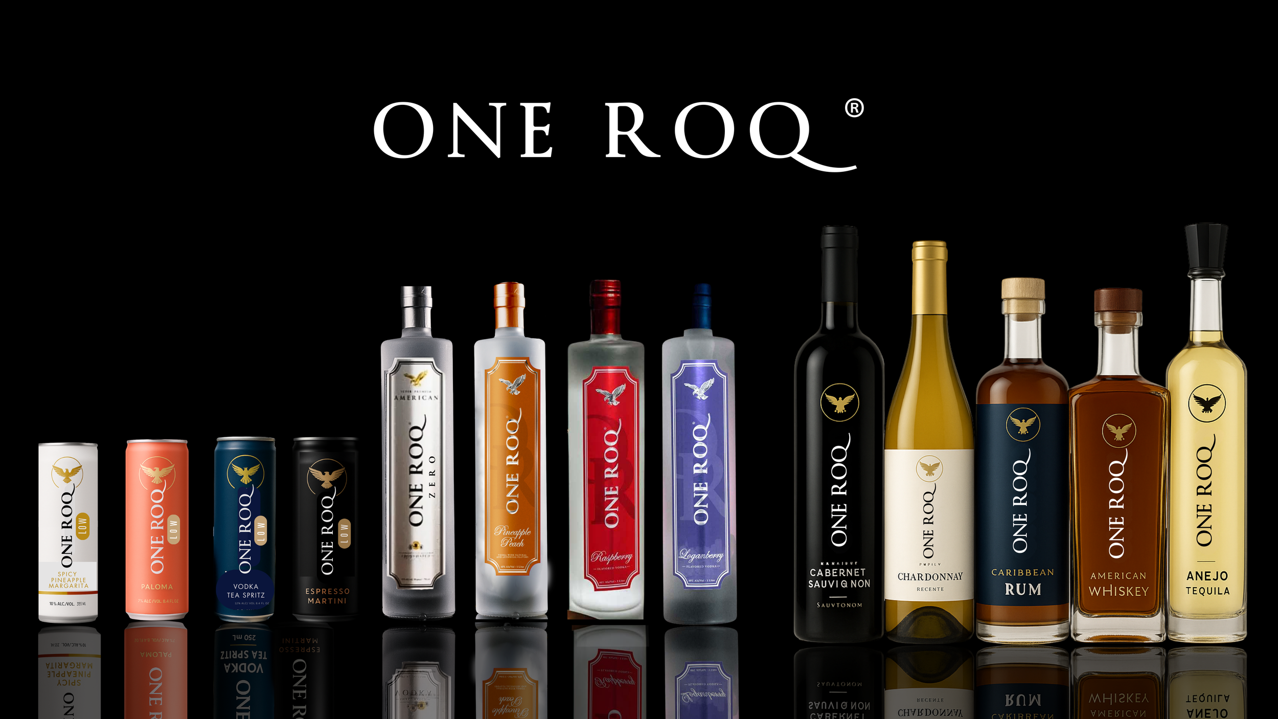 ONE ROQ Product Extensions (8).png