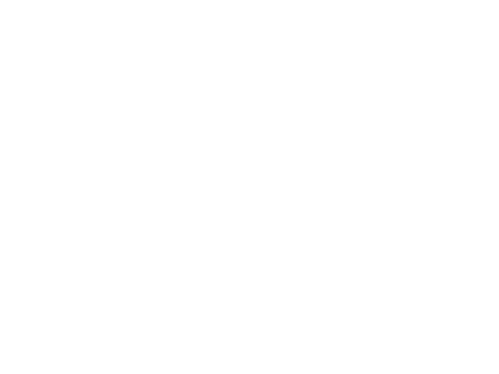forest fins and footprints.png