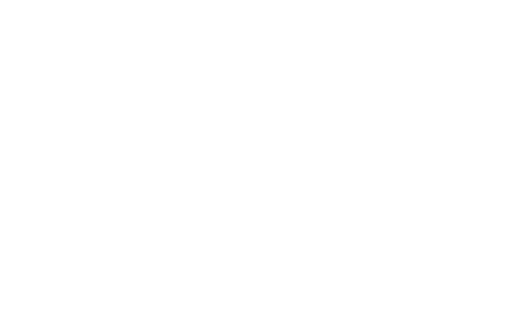 OFFICIAL SELECTION - NorthWestFest - 2018 (2).png