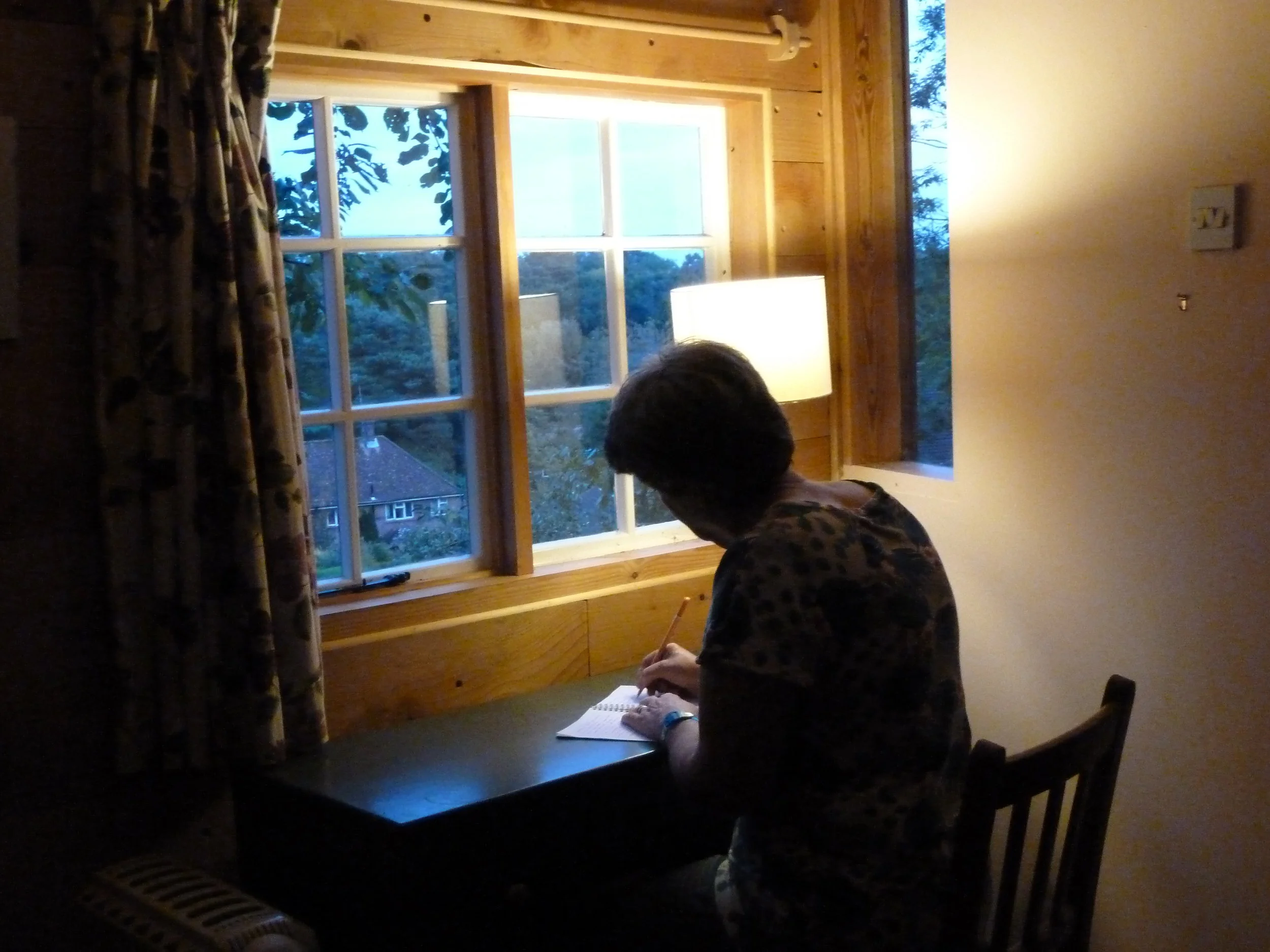 cabin writer.jpg