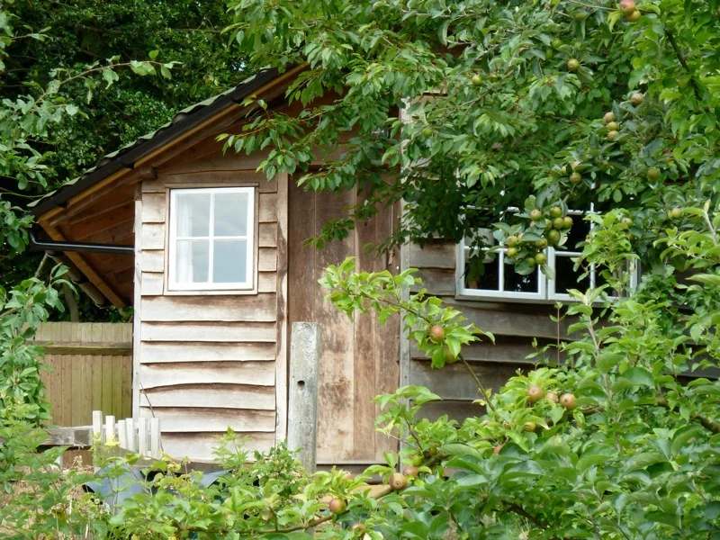 studio in summer.jpg
