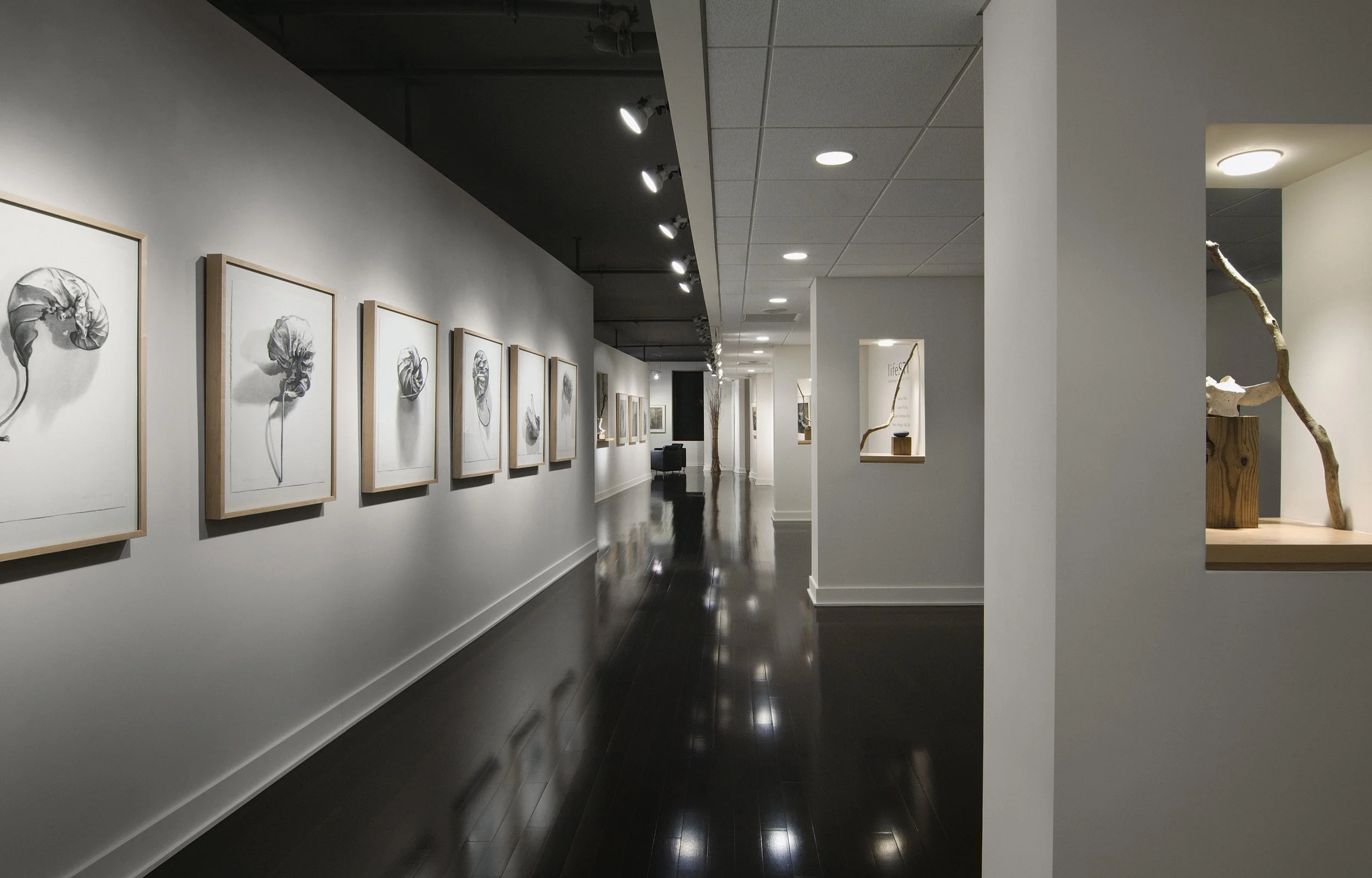 PUSH 2 Gallery