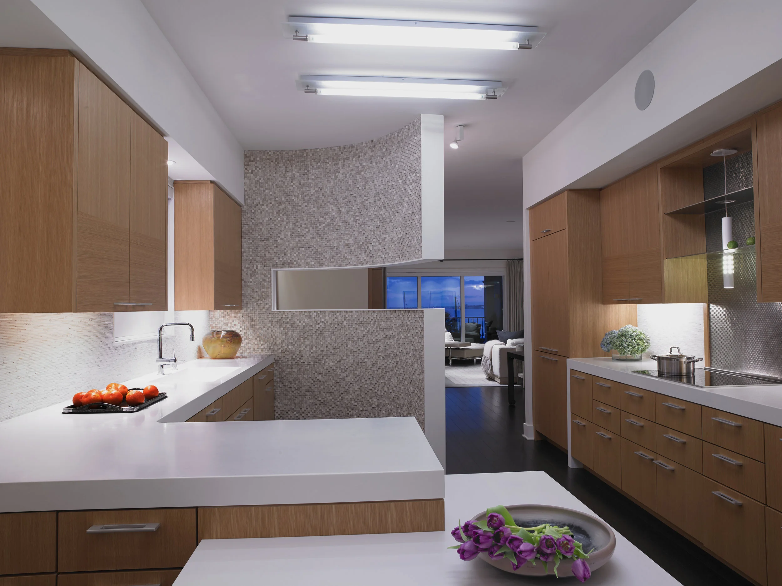 Hogan Residence -2.jpg