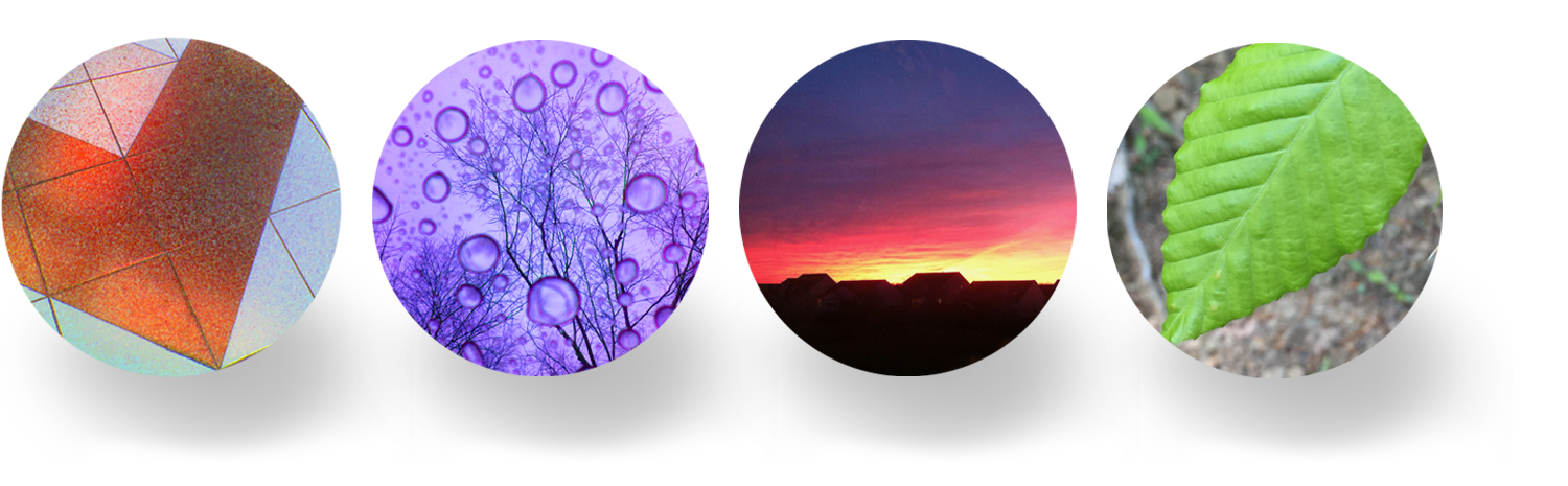 texture-color-circles2.png