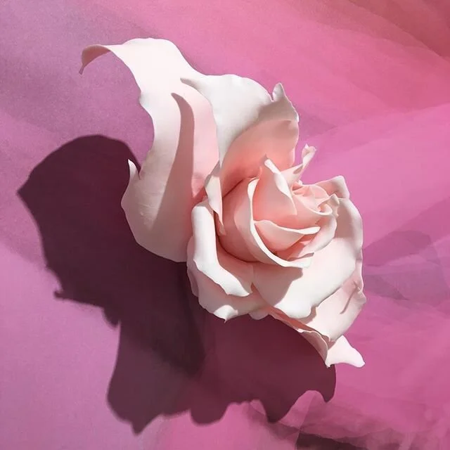 The extremely challenging time in which we are living has left me silent. Like all of us I was hurting and scared as I was witnessing the world as we know it fall apart.

Many things became senseless while many others began to make more sense. I felt