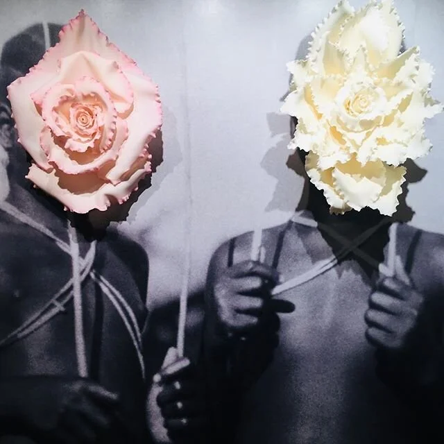 Blooming petals cover the void with floral sensuality @sakhileandme 
Exhibition now open. 
Frankfurt.
-
#sakhileandme #germany #exhibition #photography #contemporaryafricanart #artactivism #womanhood #girlchild #endfgm #fgc #artforchange #womenunited