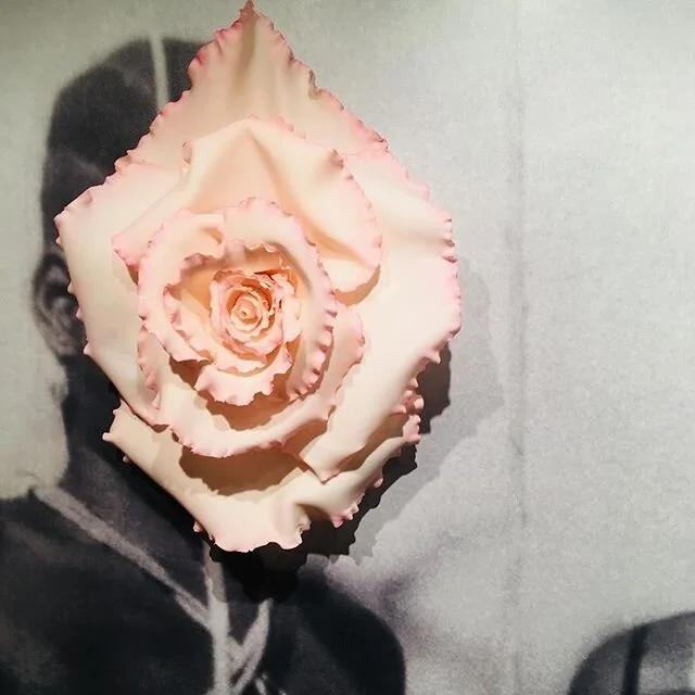 I had to believe in the power of Art to bring about culturel change. The sculpted flower would become the symbol for efflorescence. 
#contemporaryart #sakhileandme #germany #exhibition #artandactivism #flowersproject #sculpture #endfgm #contemporarya