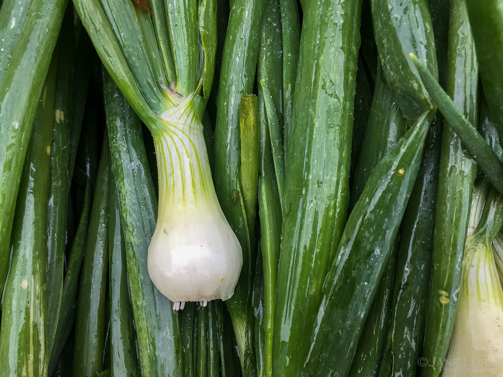 one-onion.jpg