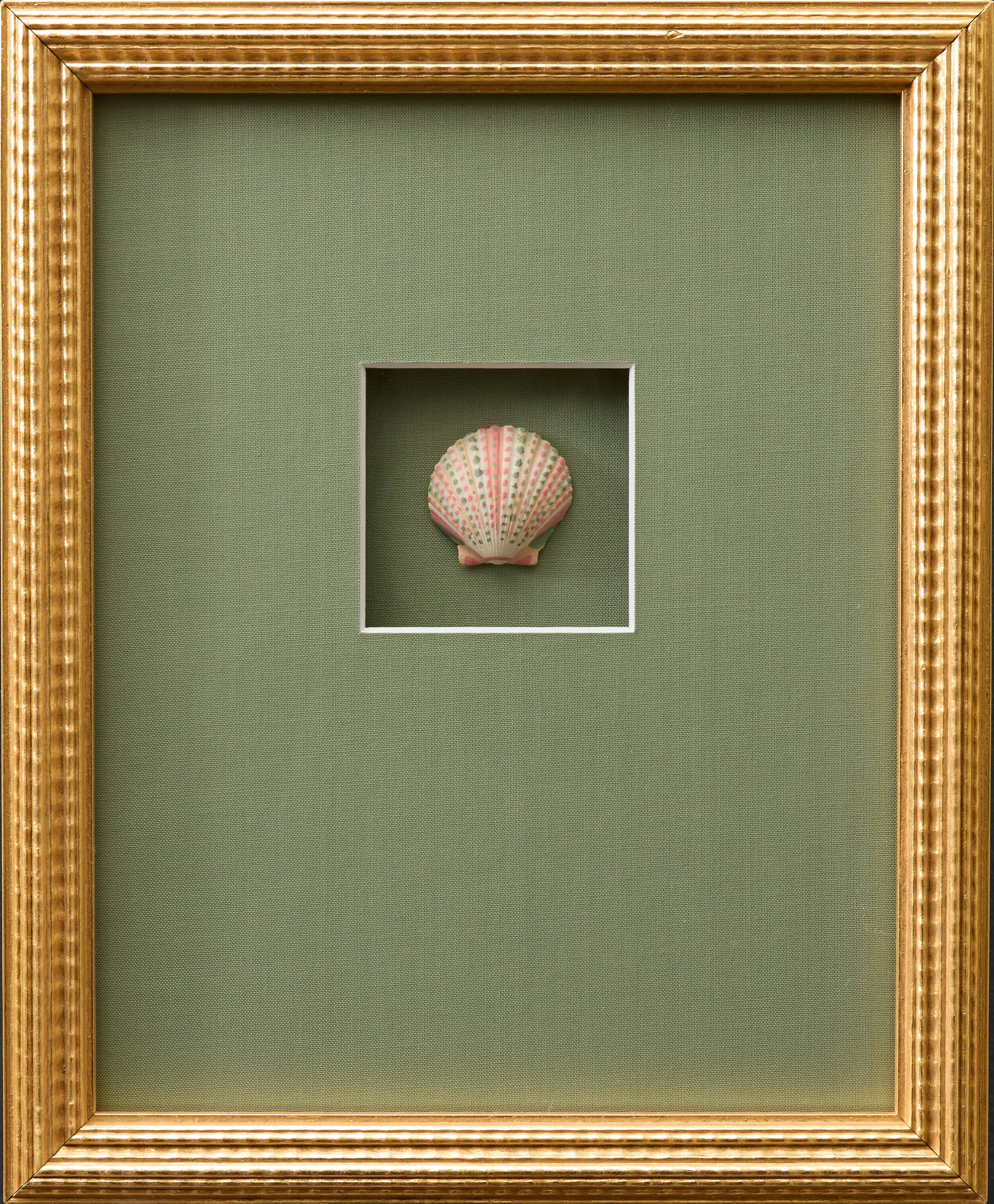 SPAIN_SEASHELL_14235.jpg