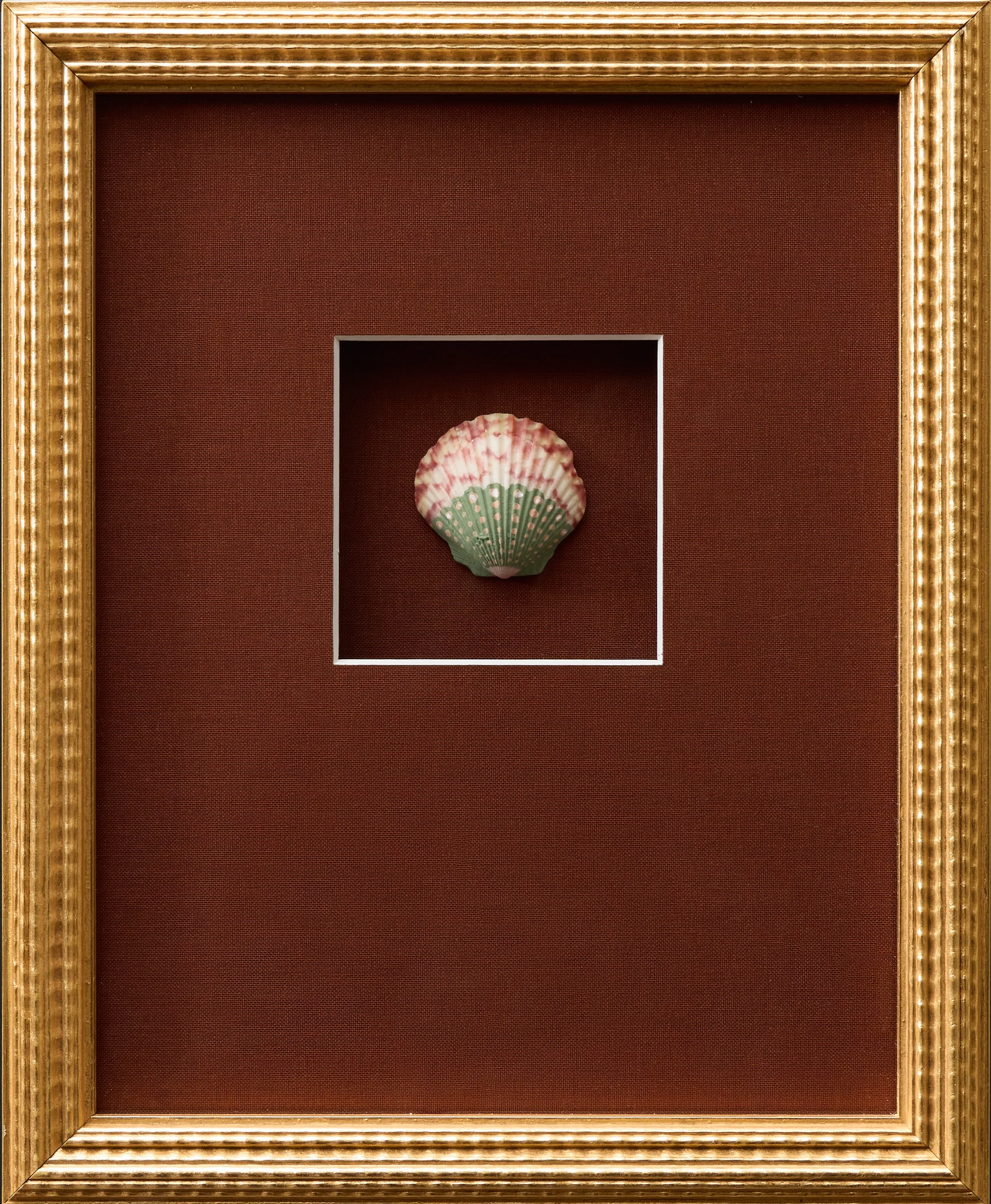 SPAIN_SEASHELL_24237.jpg