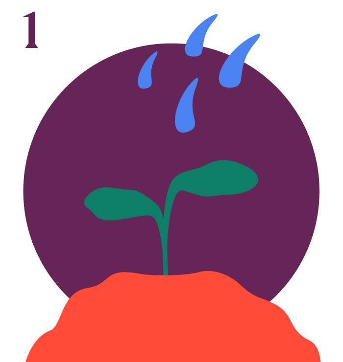 start2.png