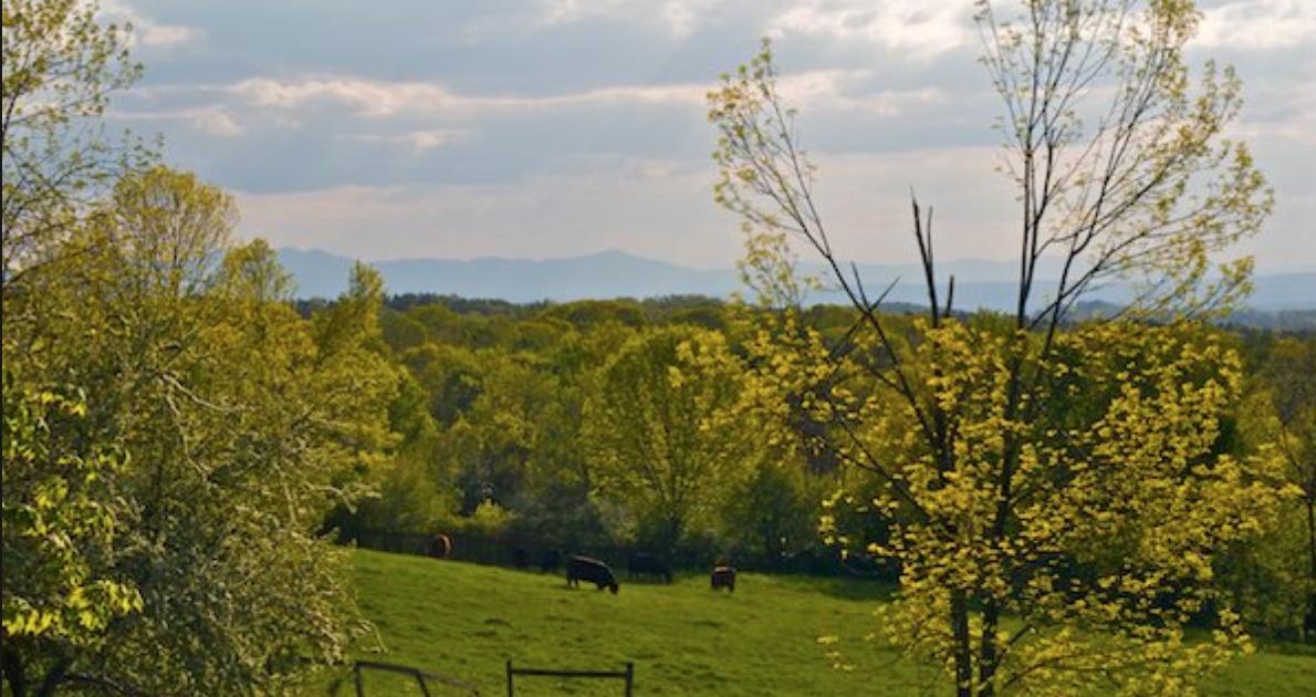 Proudly baking in Chatham, NY located in the Hudson Valley home to much of the product that goes into my pies.