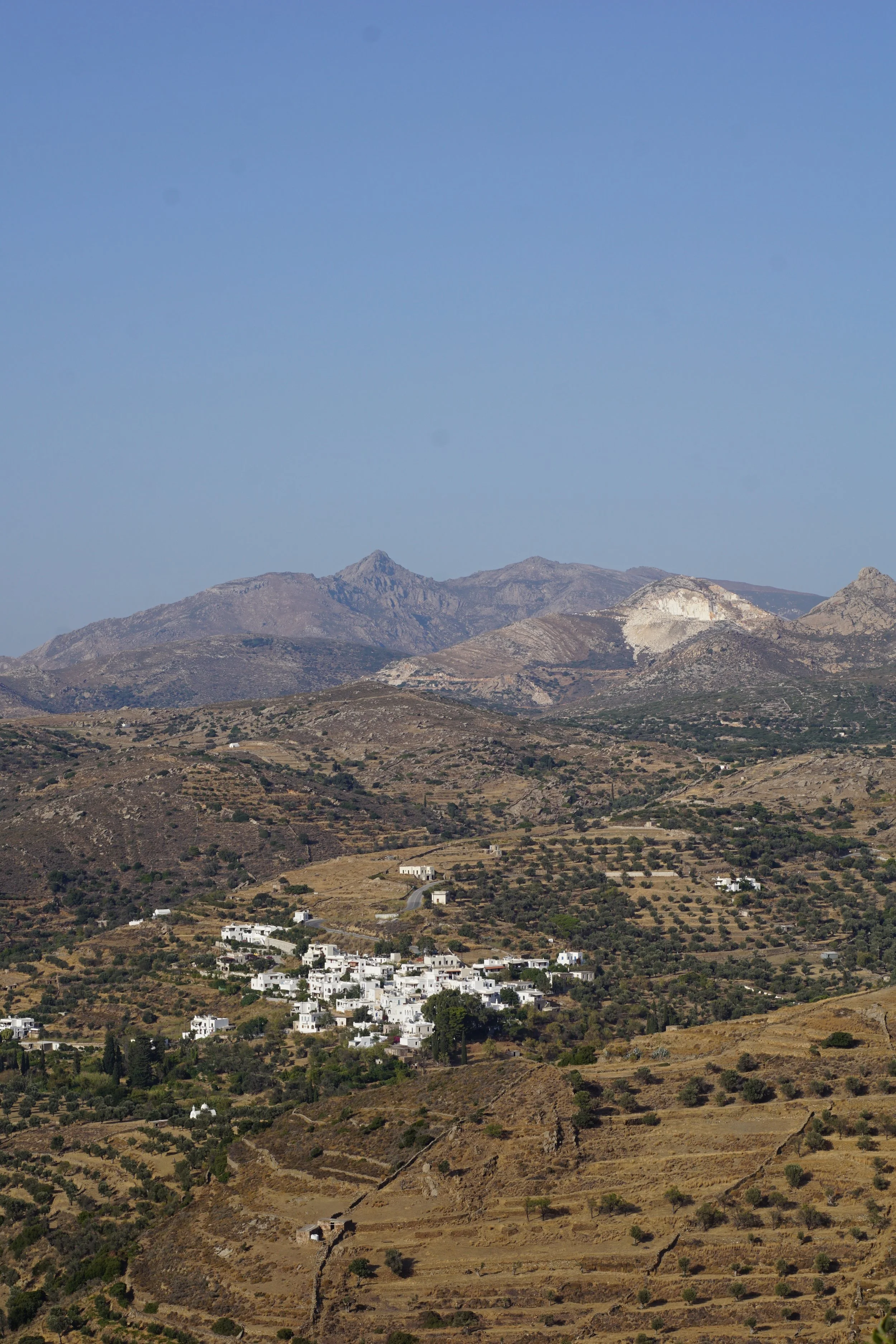 DSC05307.jpg