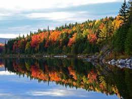 Fall foliage reflection.jpg