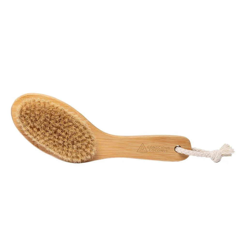 Conscious Coconut Dry Brush.jpeg