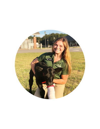 Nutritionist near me, Nashville dietitian, Dietitian Nashville, Nutritionist Nashville, Nashville Nutritionist