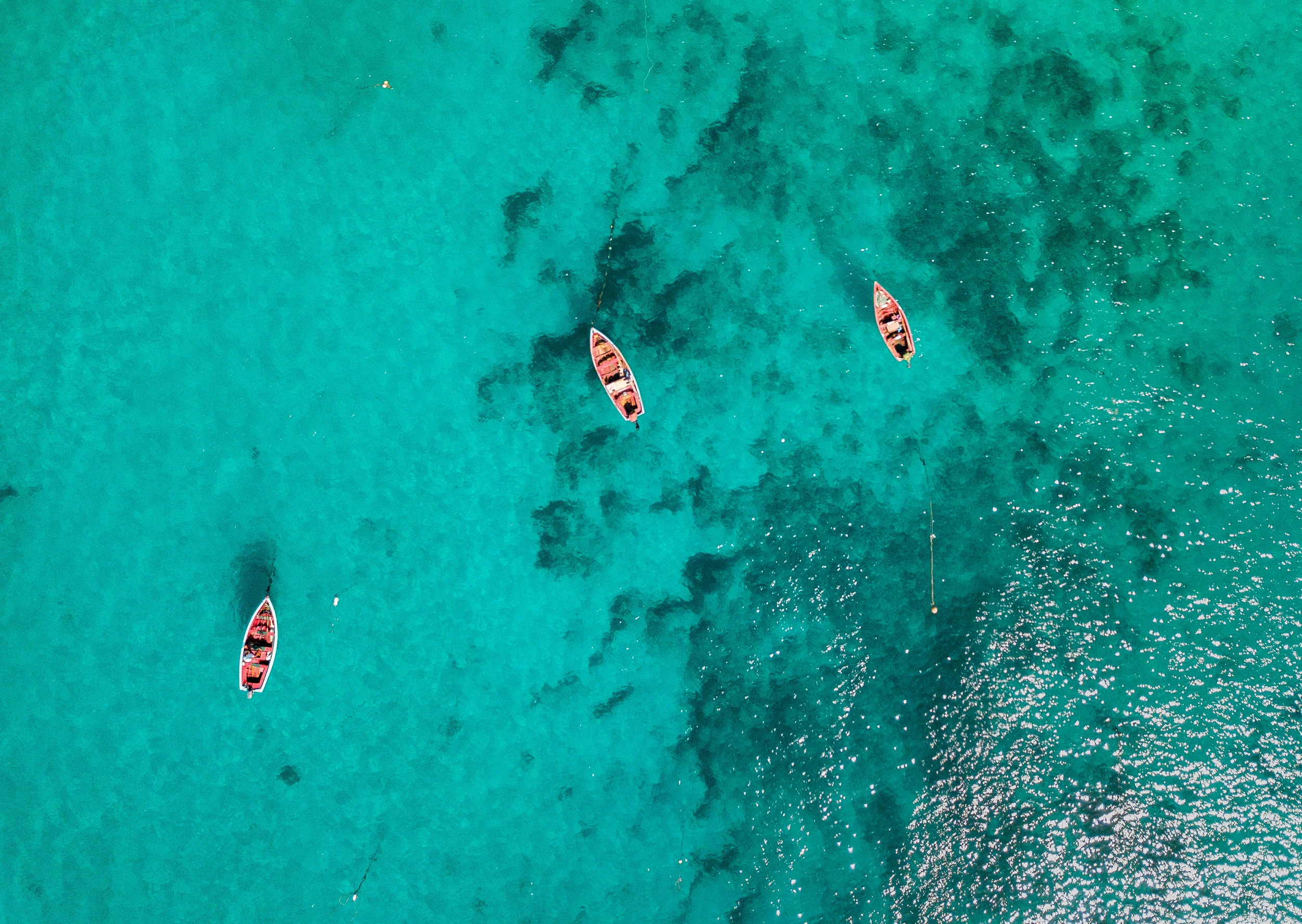 Floating over the reef