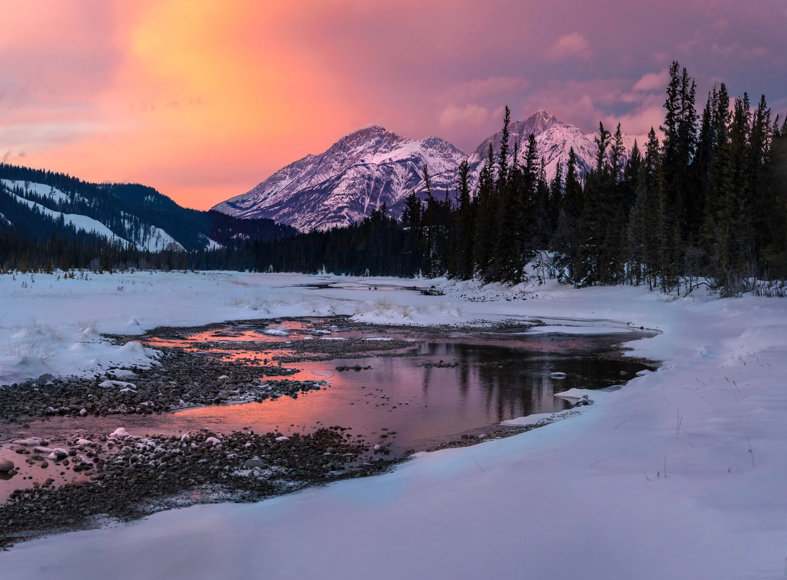 Frozen Land