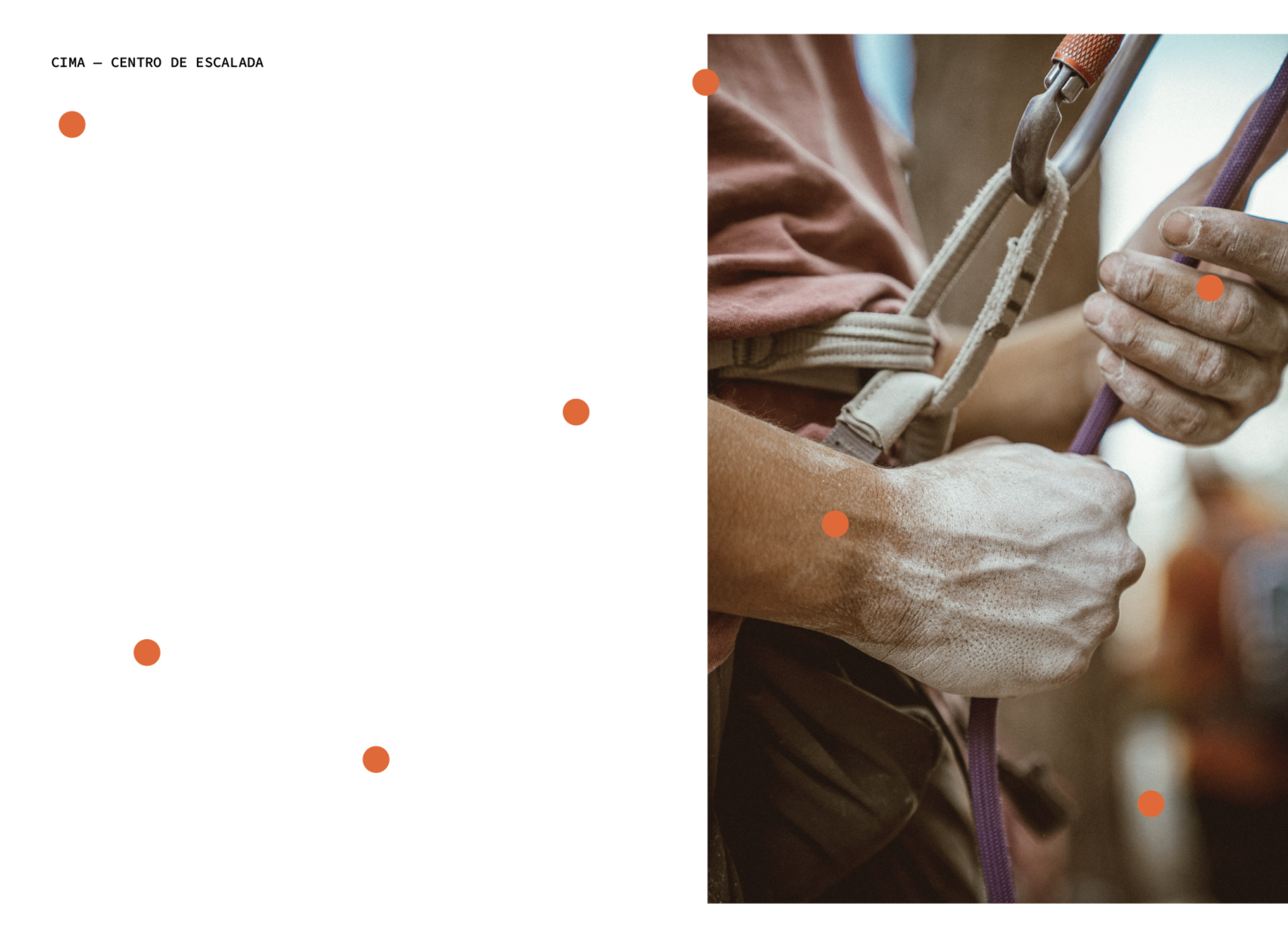 Screenshot 2026-03-18 at 10.23.21 p.m..png