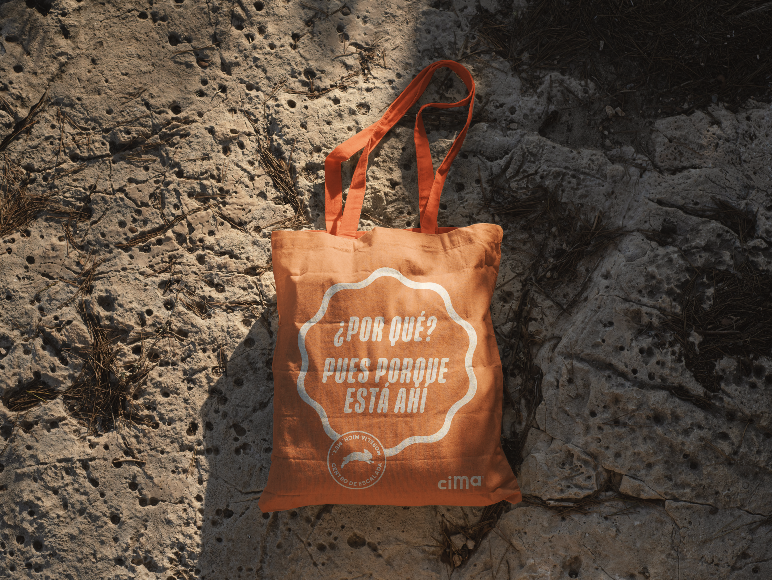 Screenshot 2026-03-18 at 10.22.58 p.m..png