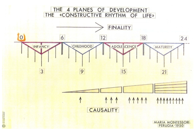 planes of development.png