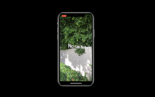 Number 4. Hide and Seek (July, 2019)