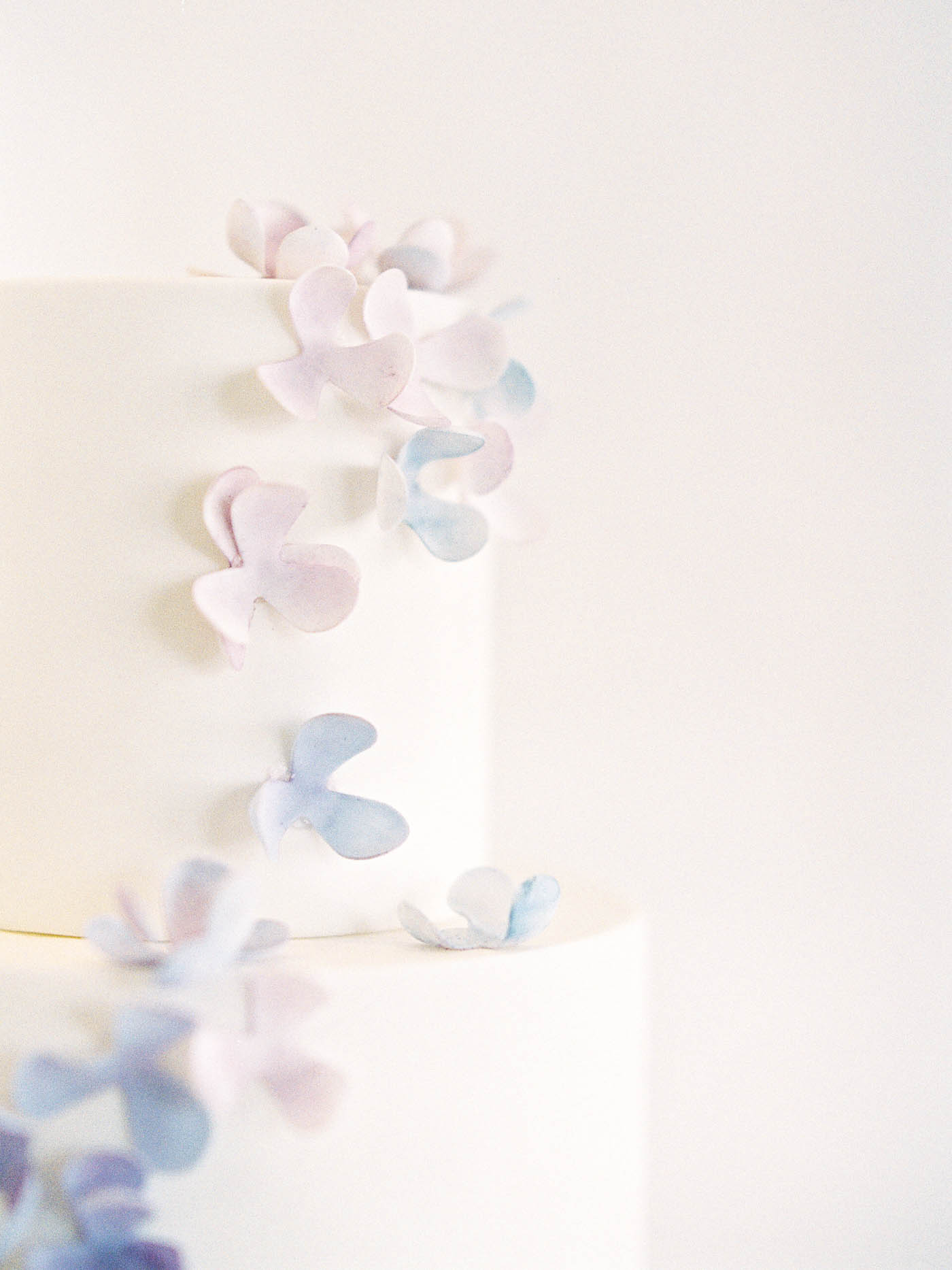 Delicate-Wedding-Cakes-18-Jen_Huang-002344-R1-018.jpg