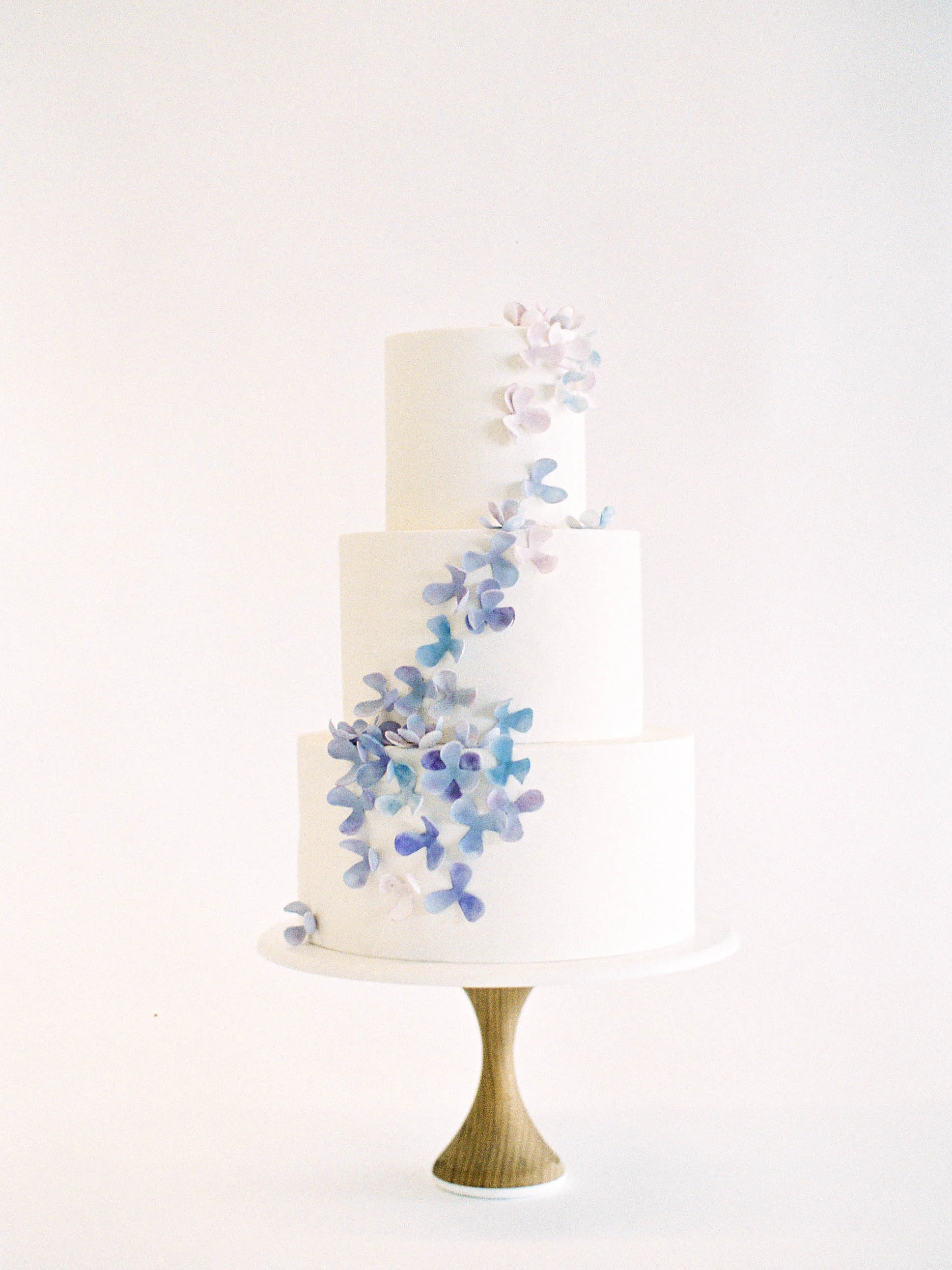 Betsy-Delicate-16-Jen_Huang-002344-R1-014.jpg