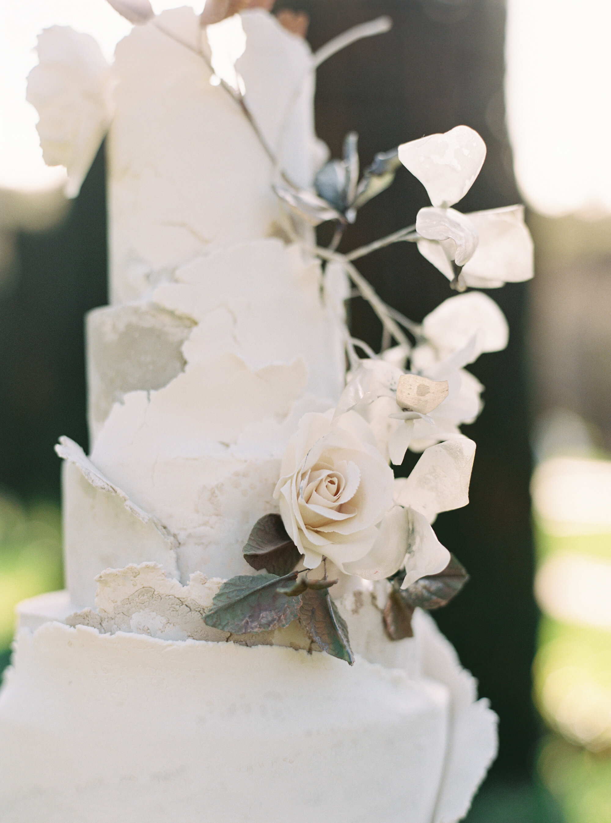 Filoli-Garden-Wedding-Photographer-Jen-Huang-Photo-42-410100_012.jpg