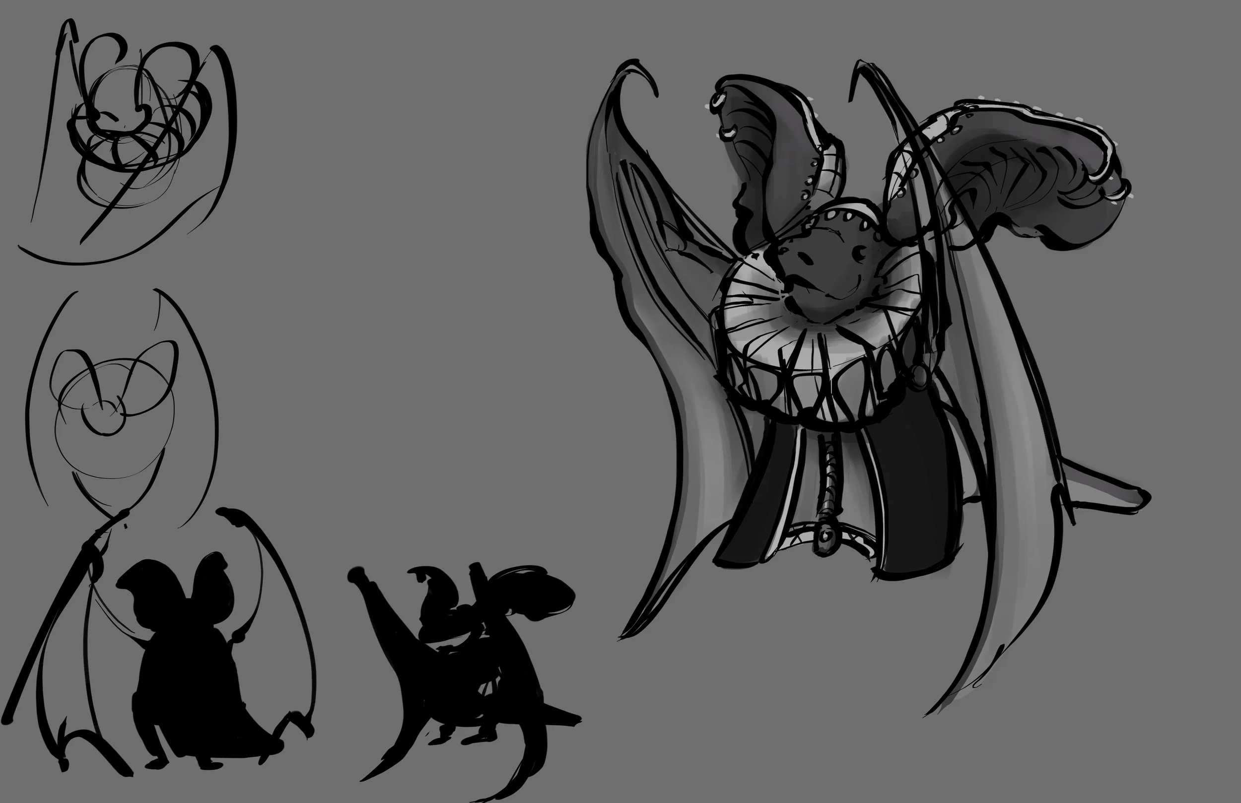 ARIL300 Sardinian Long Eared Bat_sketch.jpg
