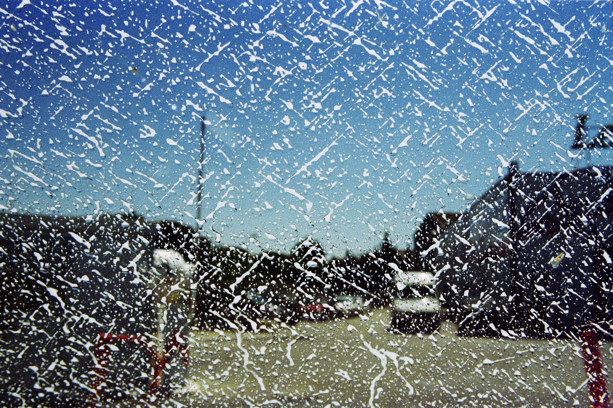 Camargue 2006 - copie.jpg