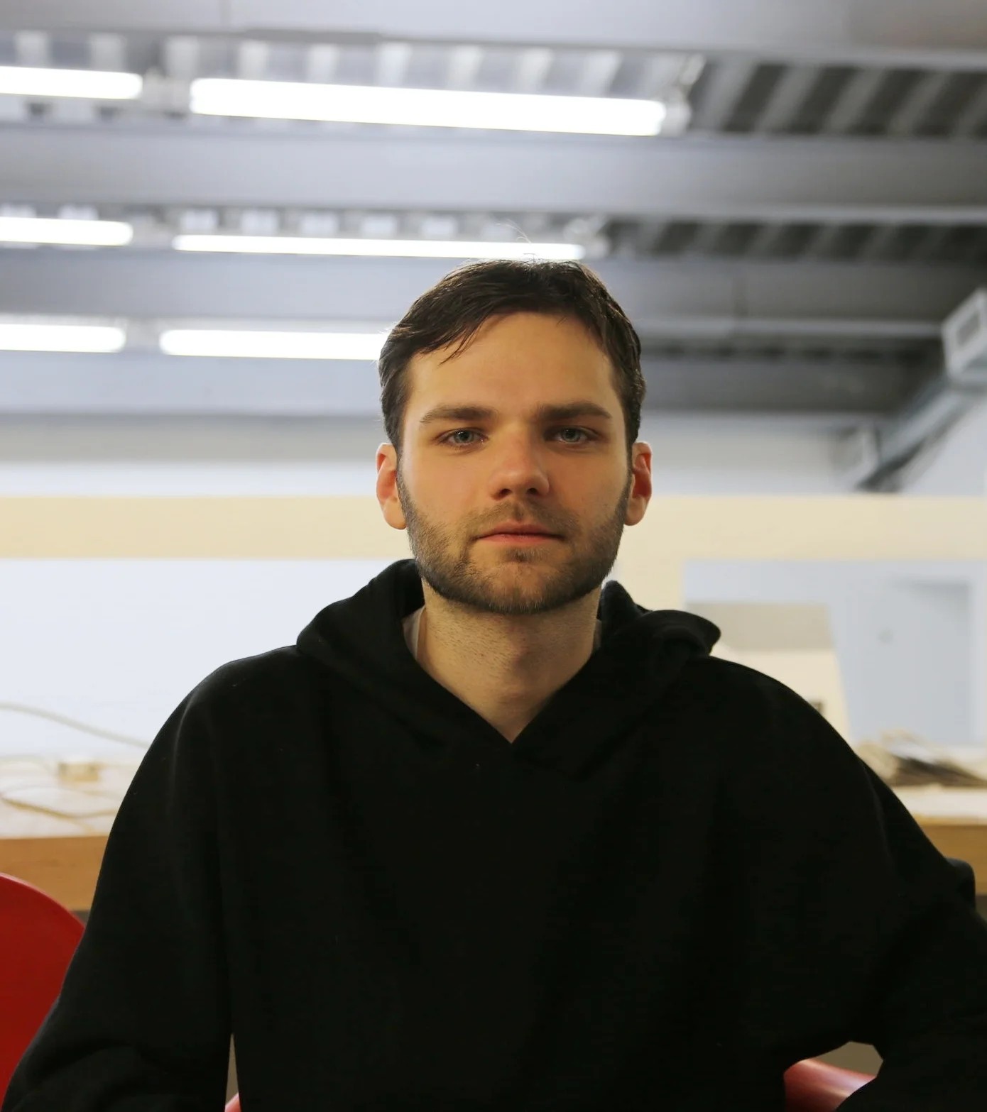 Ian Ginsburg, visual artist