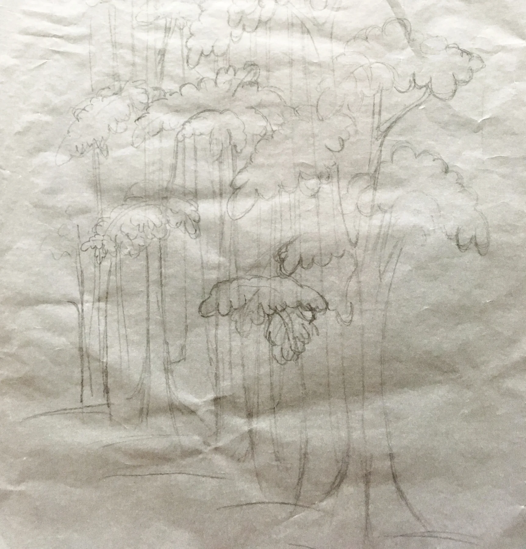  Esquisse of the forest… 