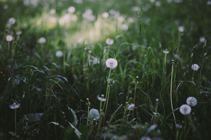 image_preview (30).jpeg