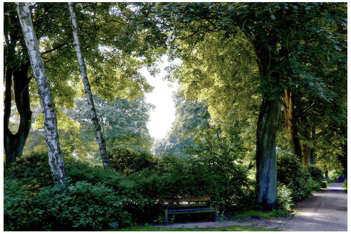 Stadtpark Hamburg