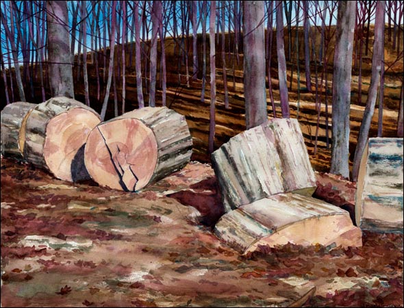 art_mathisonj_1_lg.jpg
