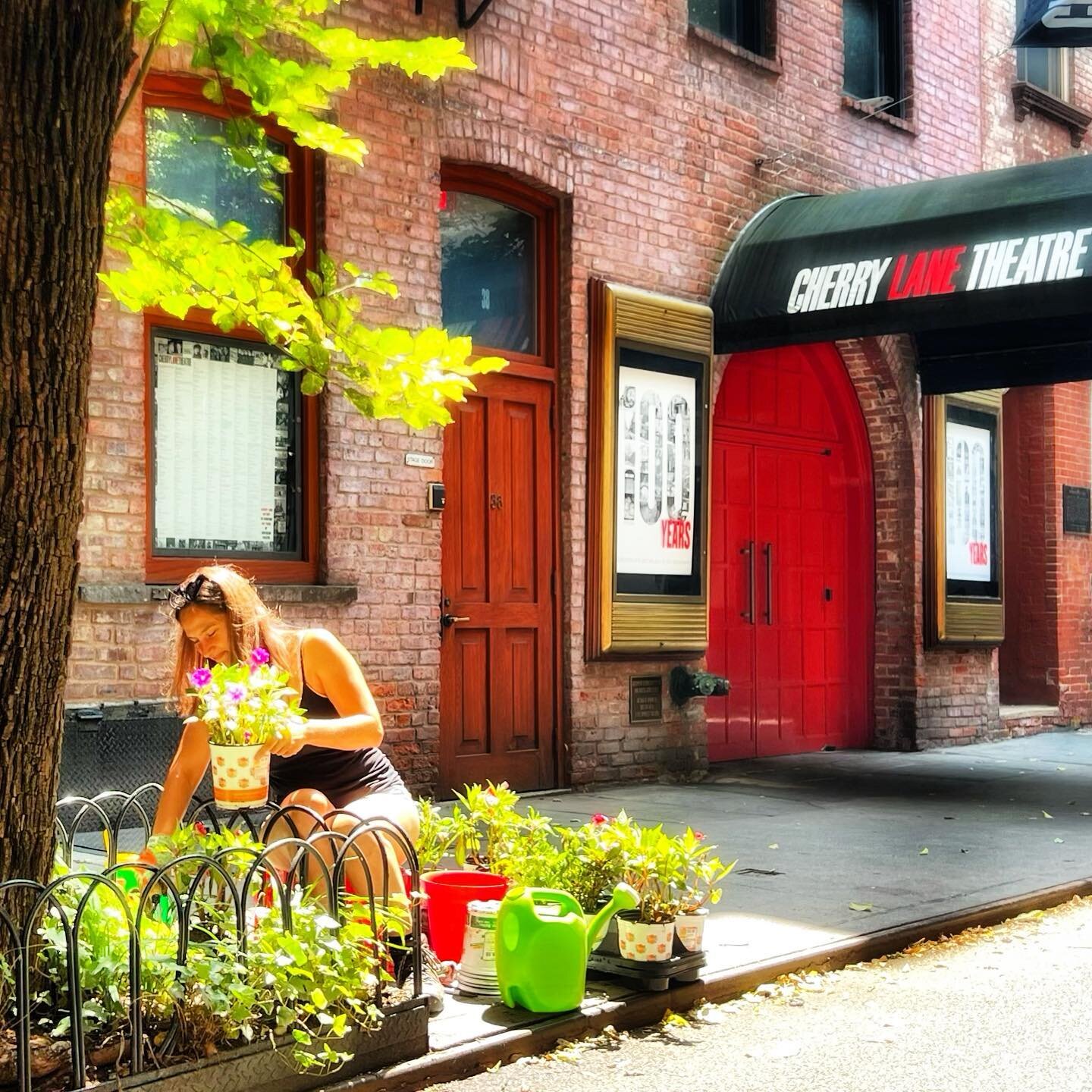 Florals for Commerce Street? Groundbreaking. 🌺

Our facilities manager, Nina Tendy tending the flowers in the neighborhood. ☀️