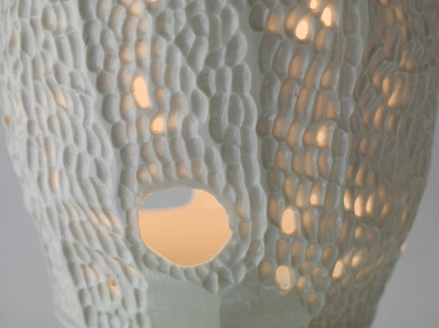 Image via LowLand Studio
