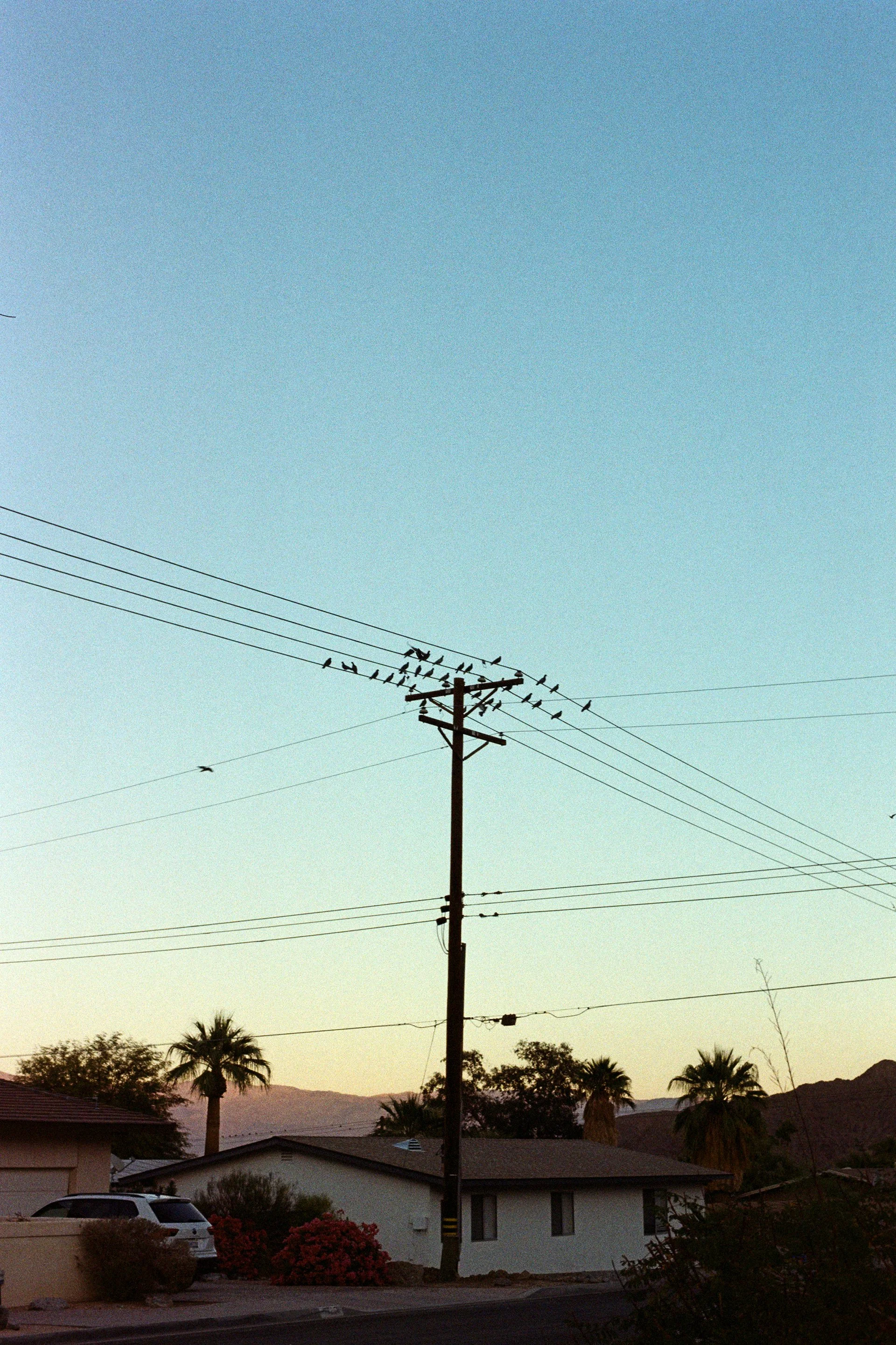 000031620014.jpg