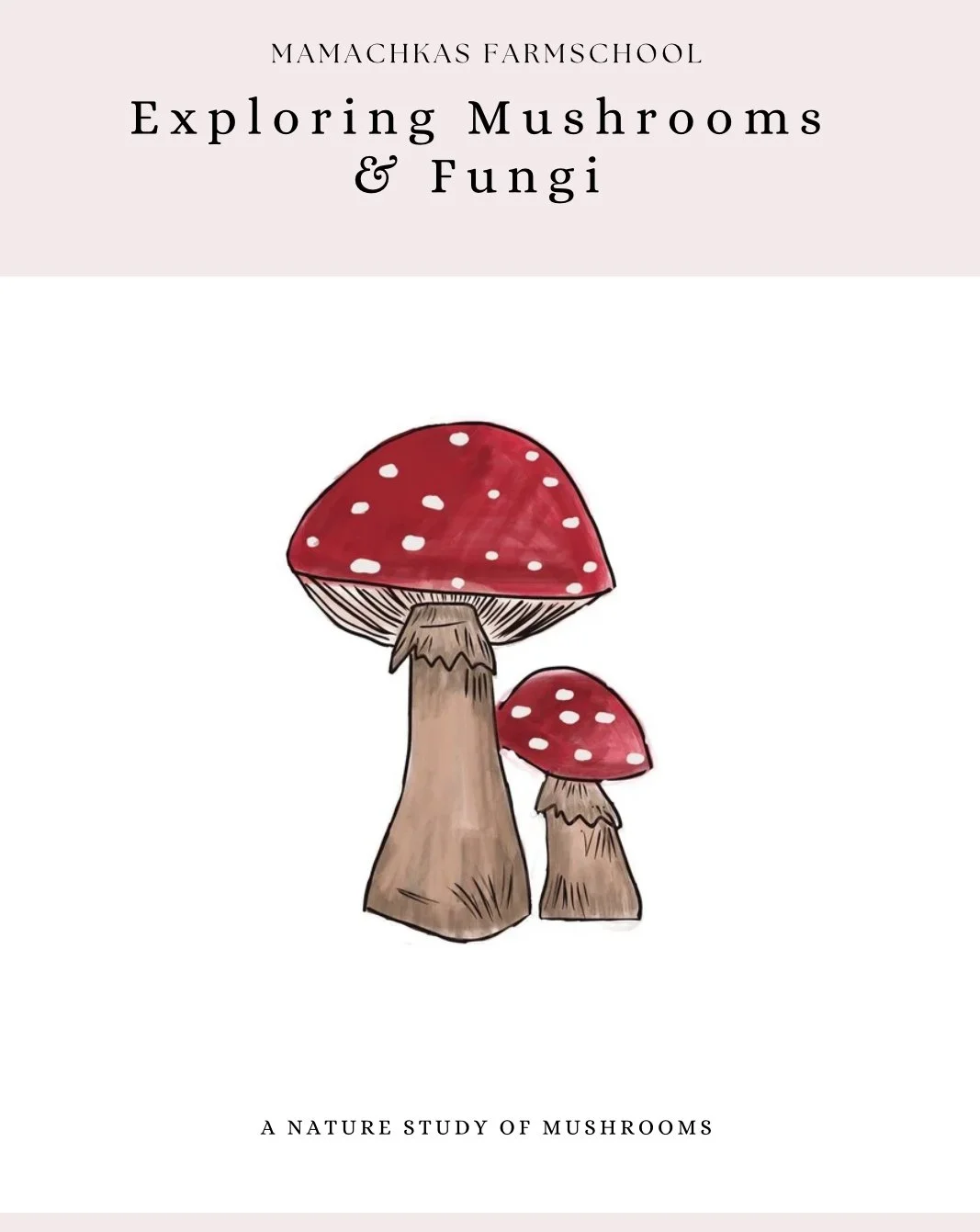 Exploring Mushrooms & Fungi Unit Curriculum