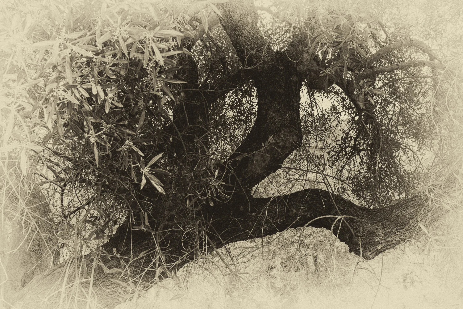 P4020121-Edit-2.jpg