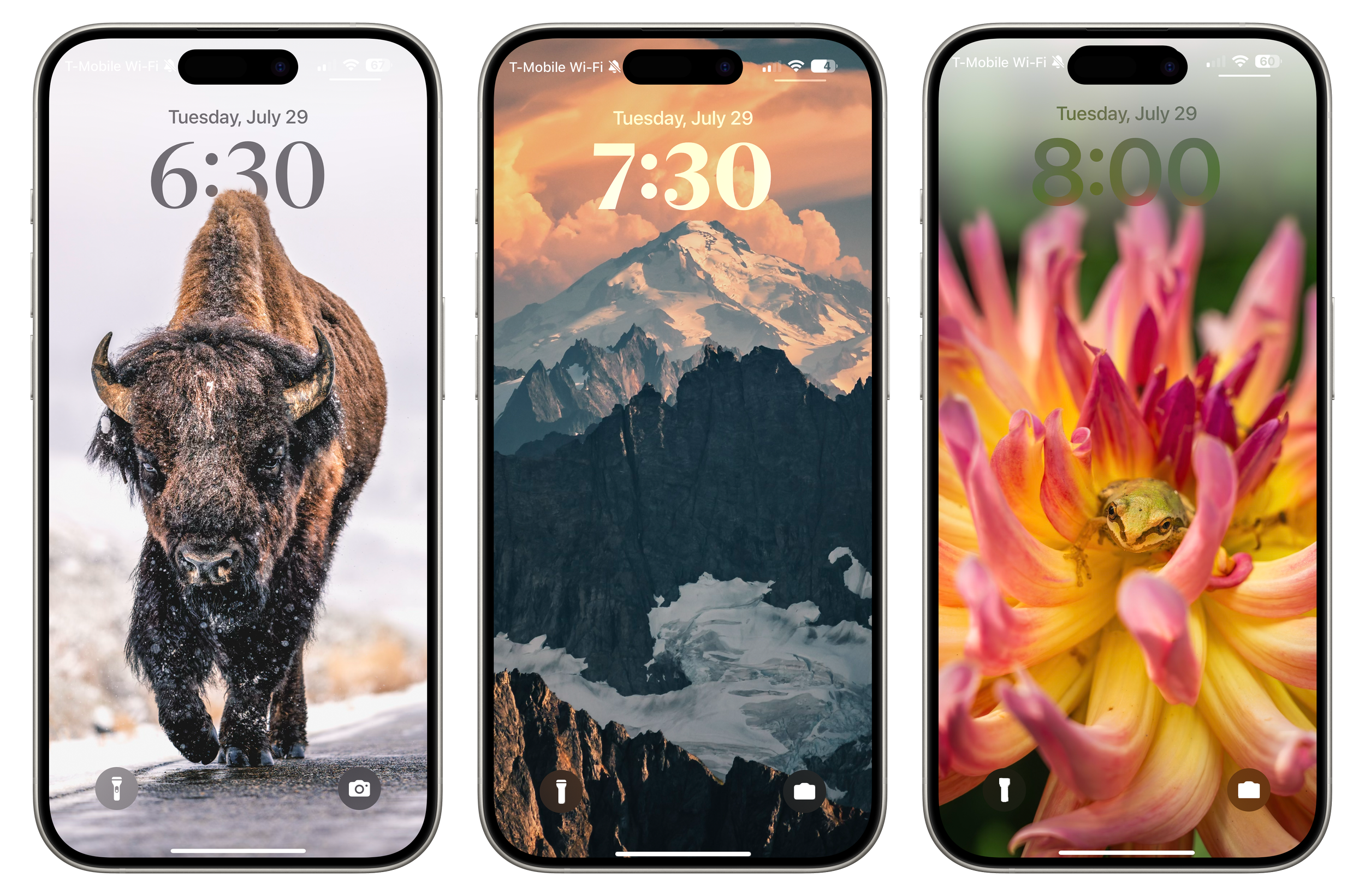 _phone-wallpapers-trio.png
