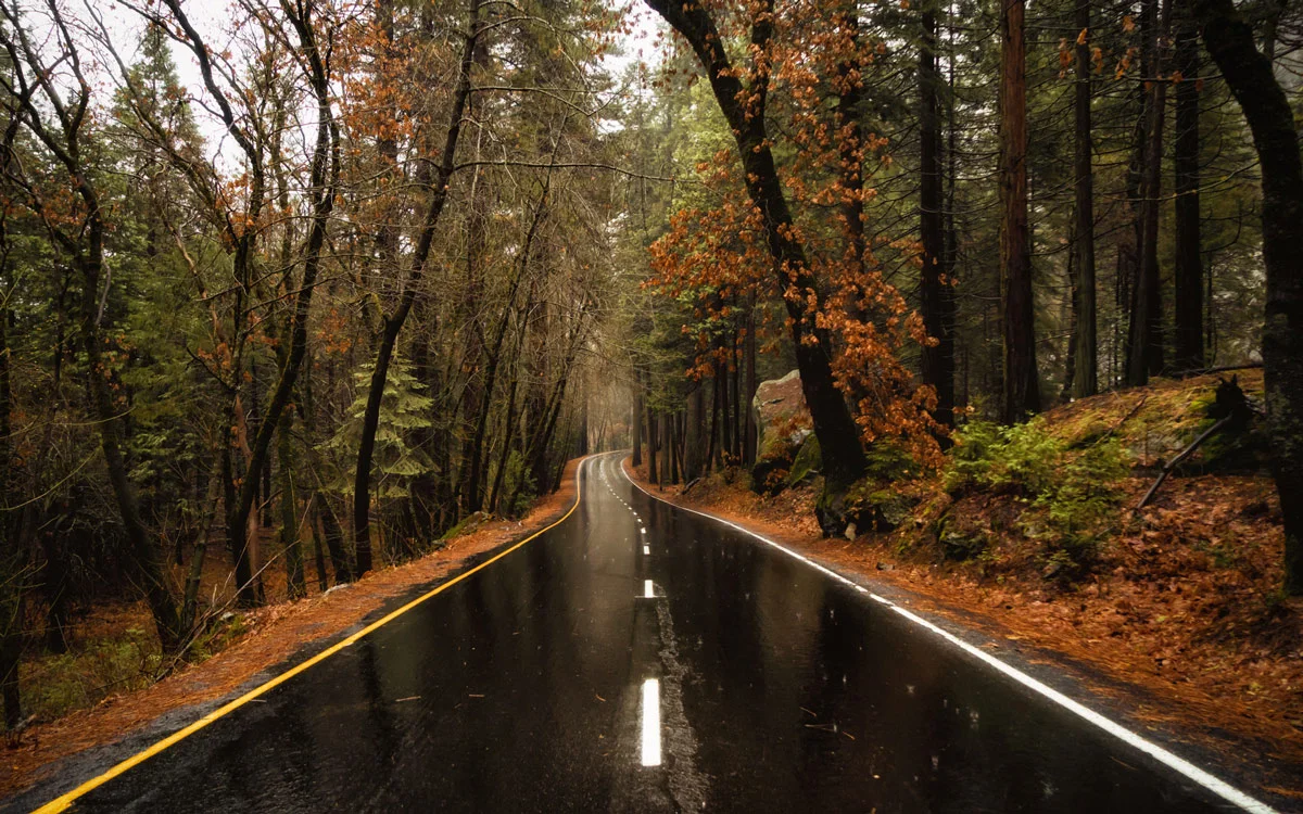Scott_Kranz_Yosemite_Road_web.jpg