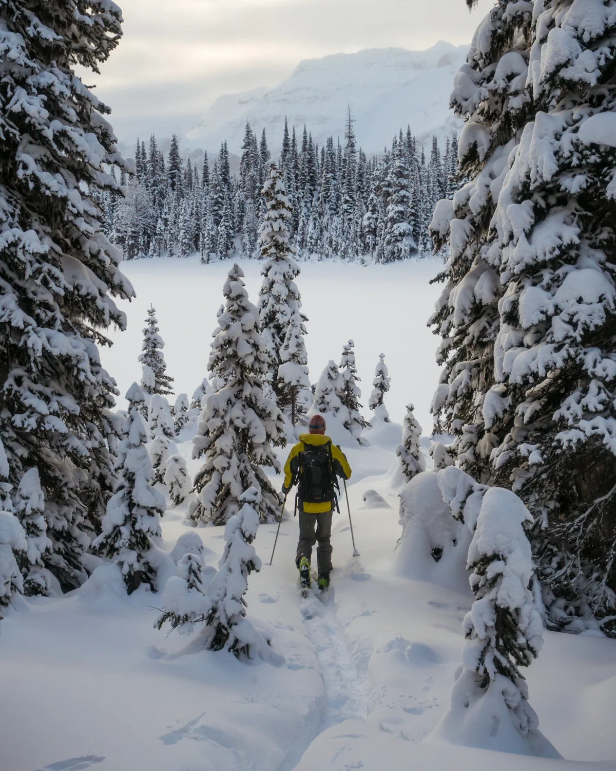 Travel_Alberta_Winter-7.jpg