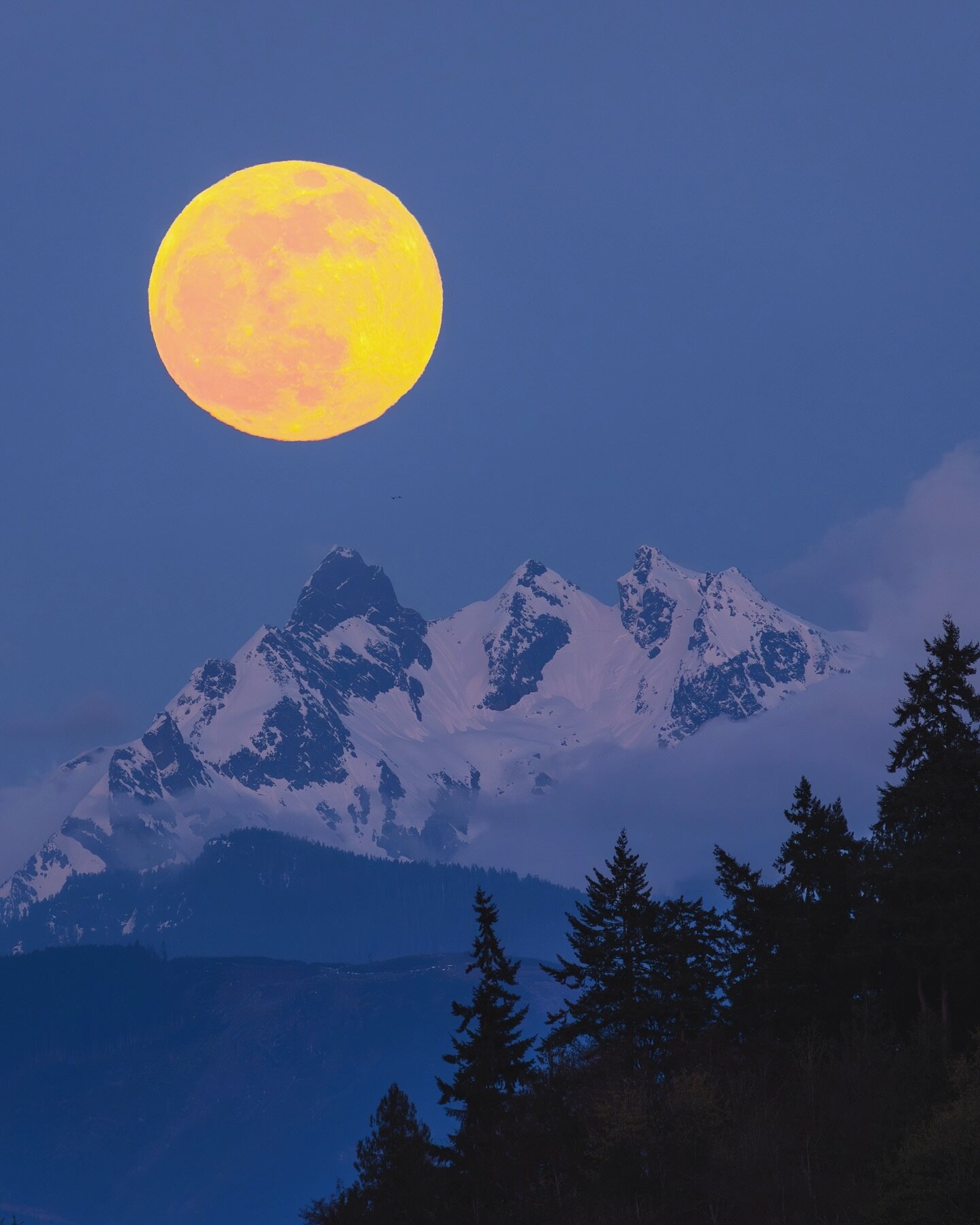 Last night&rsquo;s full moon (Worm Moon) rising up and over Three Fingers 🌕 Always fun waiting to see the very first glimpse of moon light peak over the mountain horizon. And if you pinch to zoom, you might see a pair of snow geese beneath the moon 