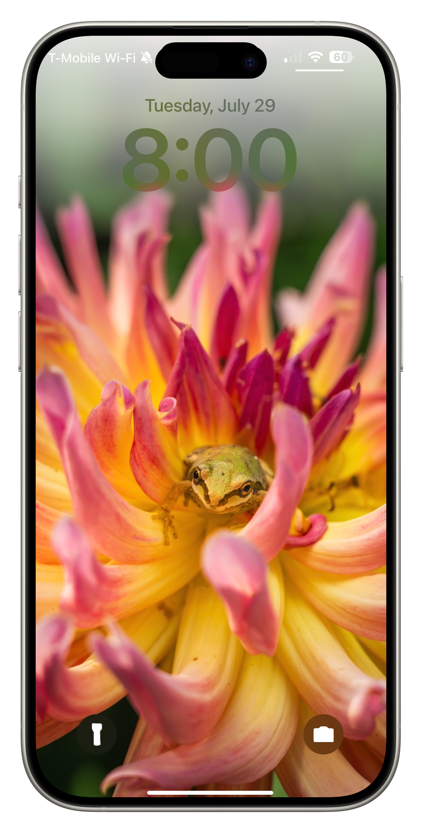 _phone-wallpaper-mock-up-frog-flower.png