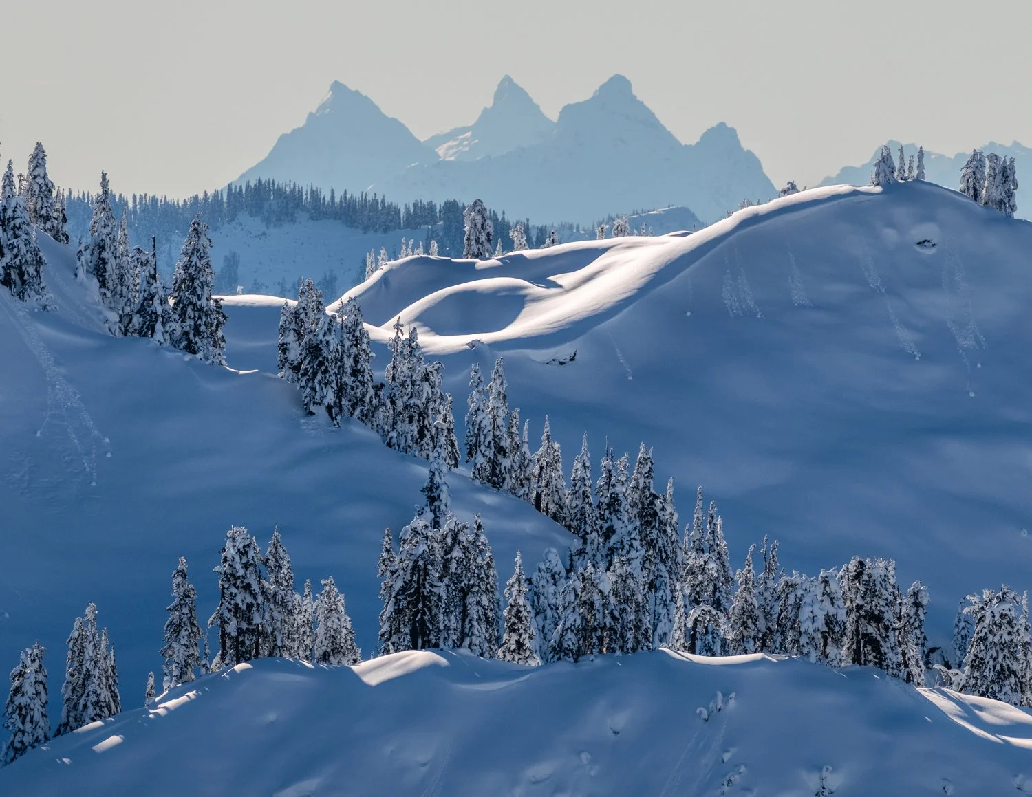 2027-calendar-backer-backcountry.jpg