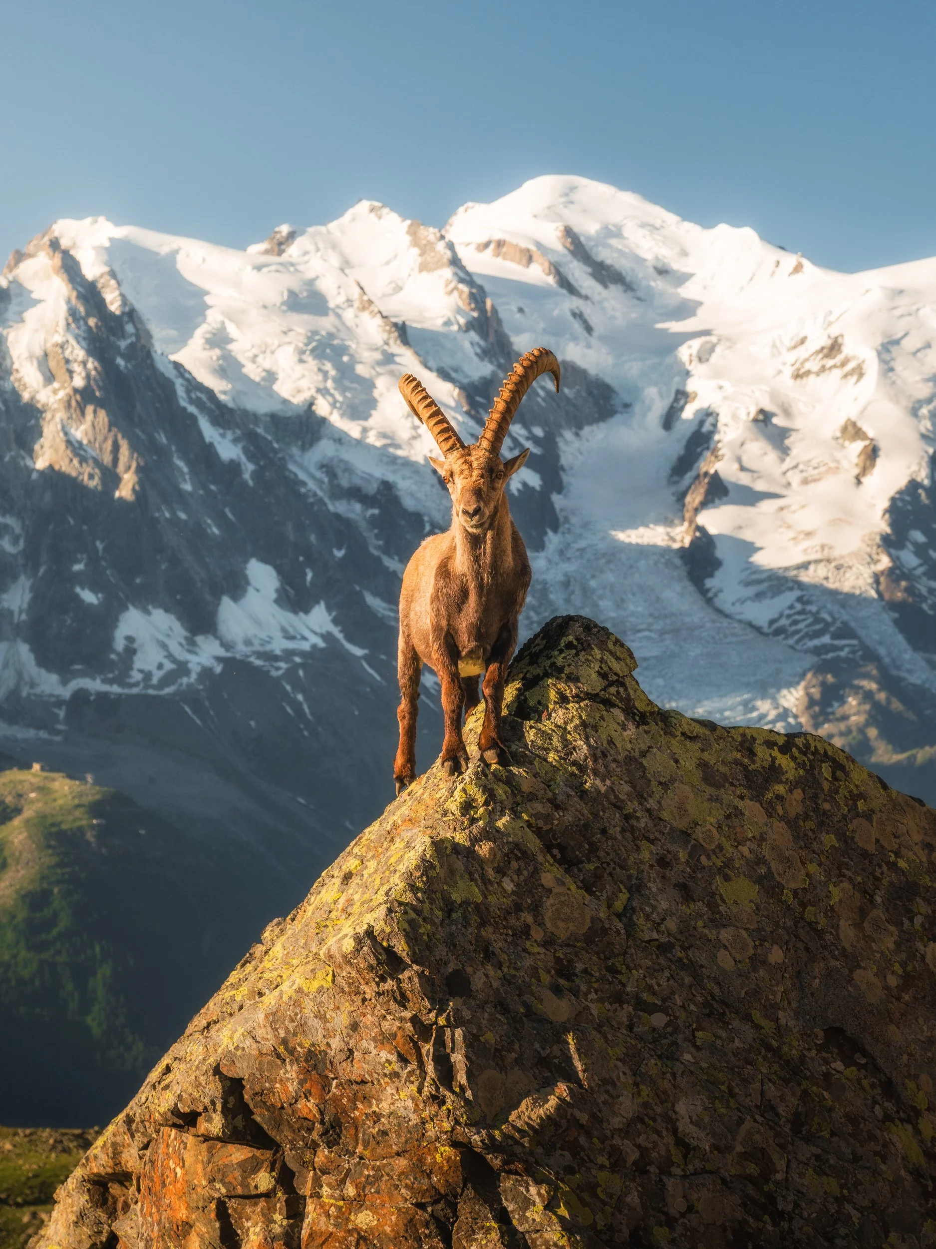 scott-kranz-chamonix-photo-retreat-29.jpg